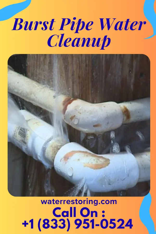 Burst Pipe Water Cleanup in Danwood, SC